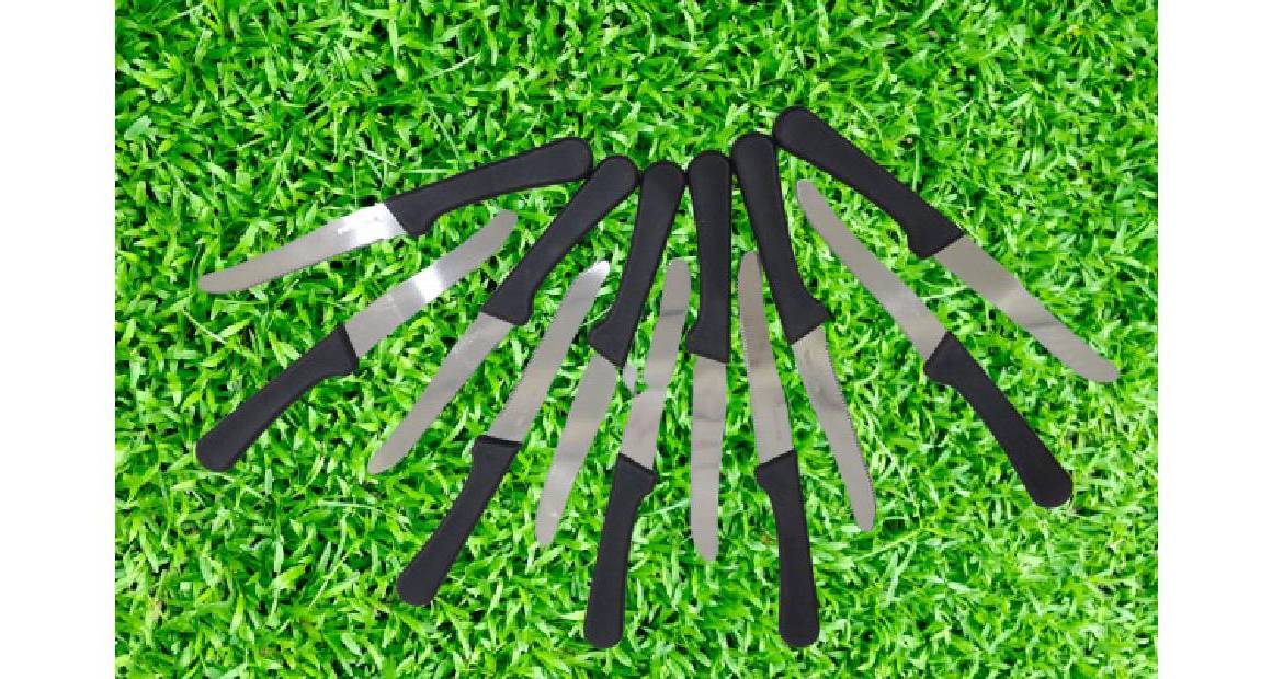 Knife 12 Pcs Set