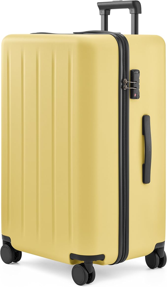Checked Luggage 22 inch