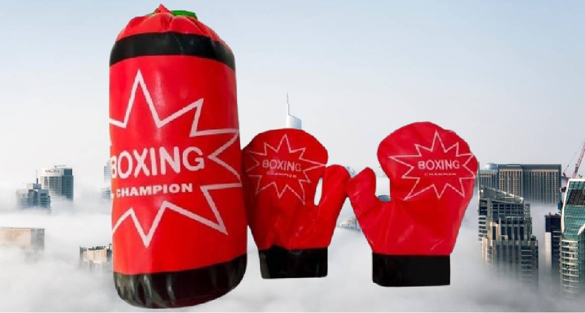 كيس ملاكمة مع قفازات