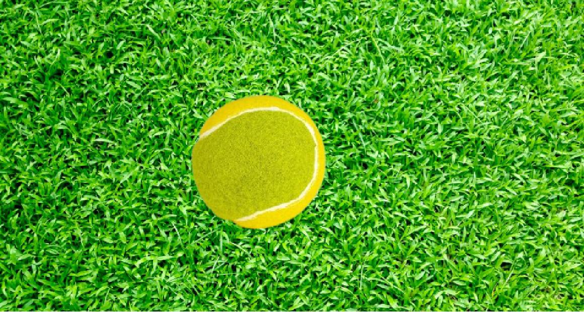 مجموعة كرات التنس مع كيس بلاستيكي