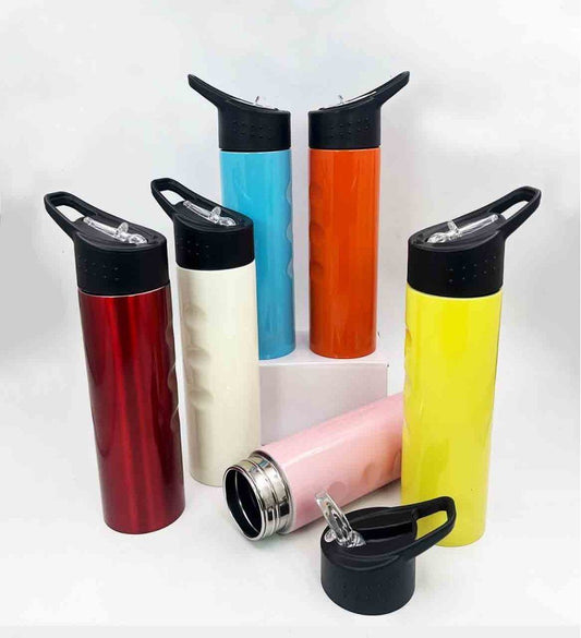 زجاجة مياه من الفولاذ المقاوم للصدأ سعة 750 مل