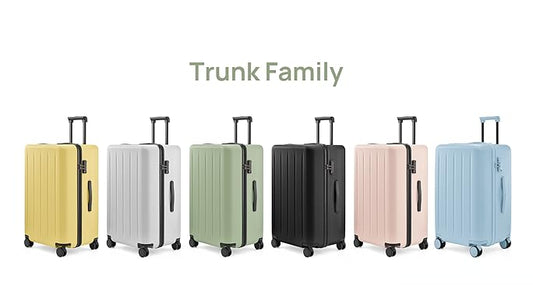 Checked Luggage 22 inch