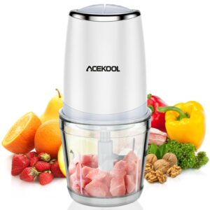 Mini Food Processor